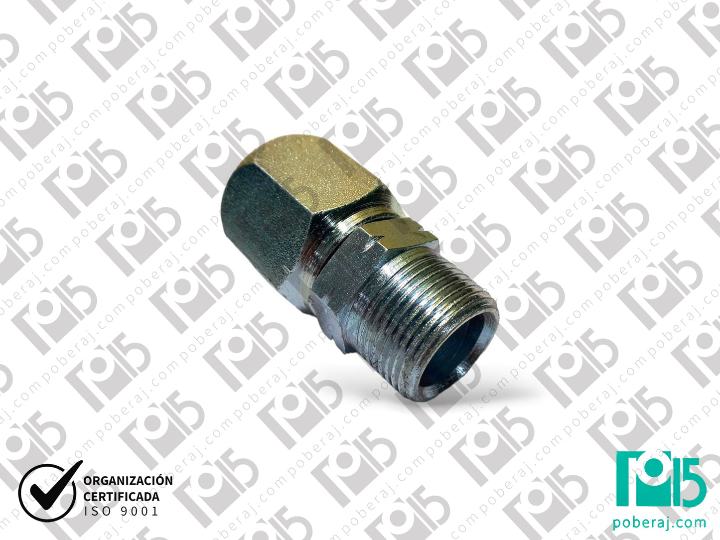 C3101 Macho fijo rosca NPT SAE 100 R3