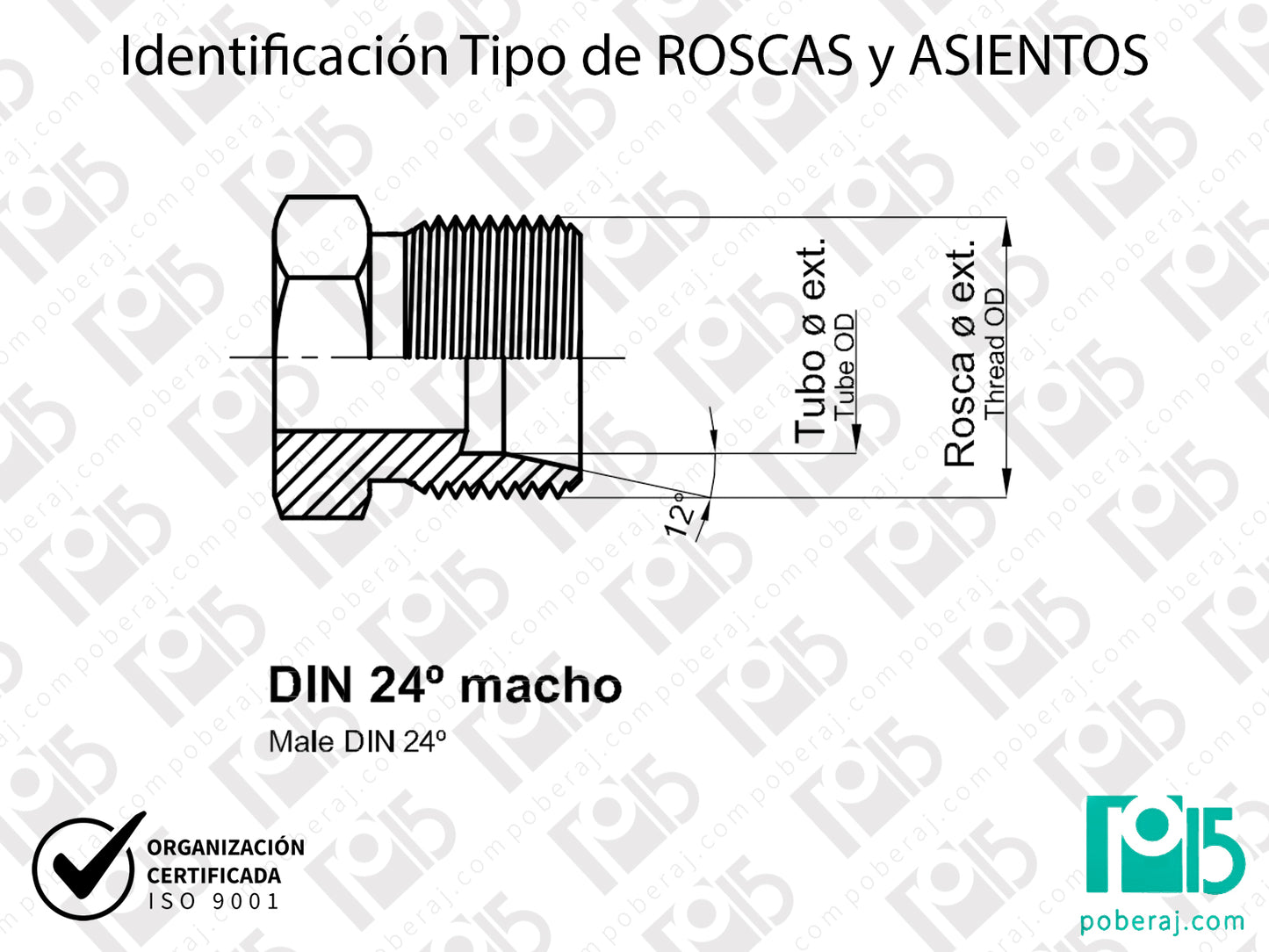 W- Identificación Tipo de ROSCAS y ASIENTOS: DIN 24° MACHO