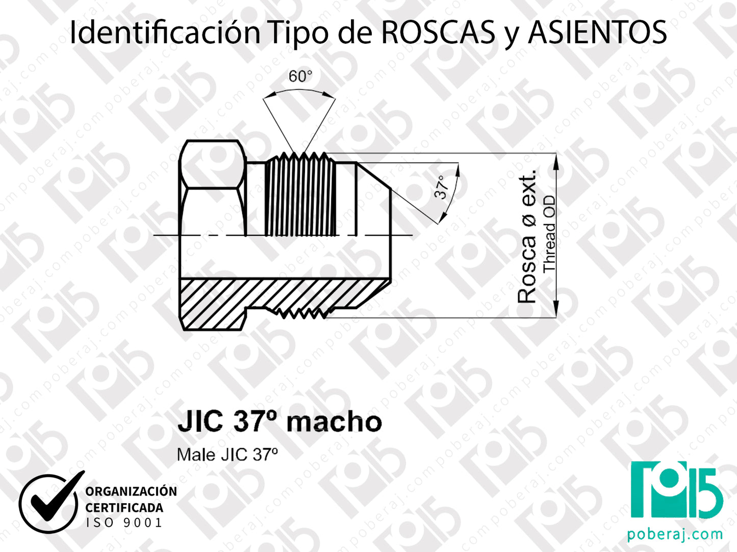 W- Identificación Tipo de ROSCAS y ASIENTOS: JIC 37° macho