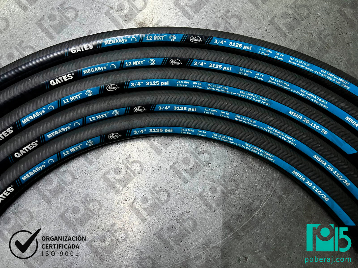 Manguera Hidraulica GATES MXT MEGASYS Codigo M060