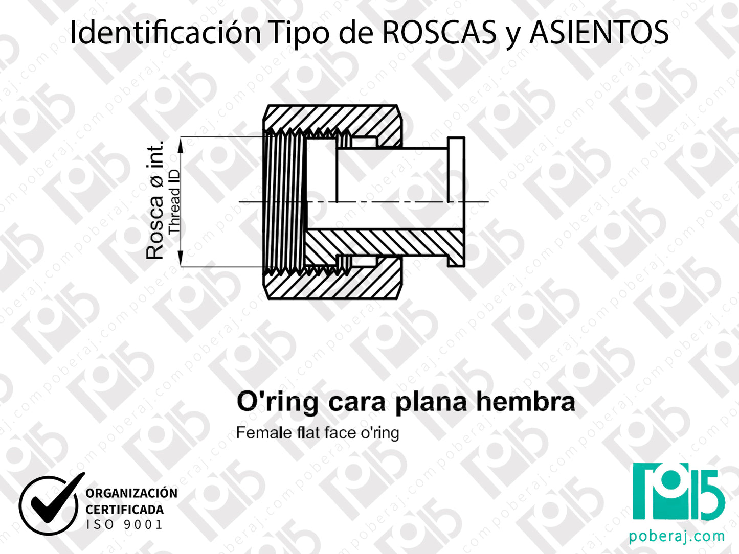 W- Identificación Tipo de ROSCAS y ASIENTOS: O'ring cara plana hembra