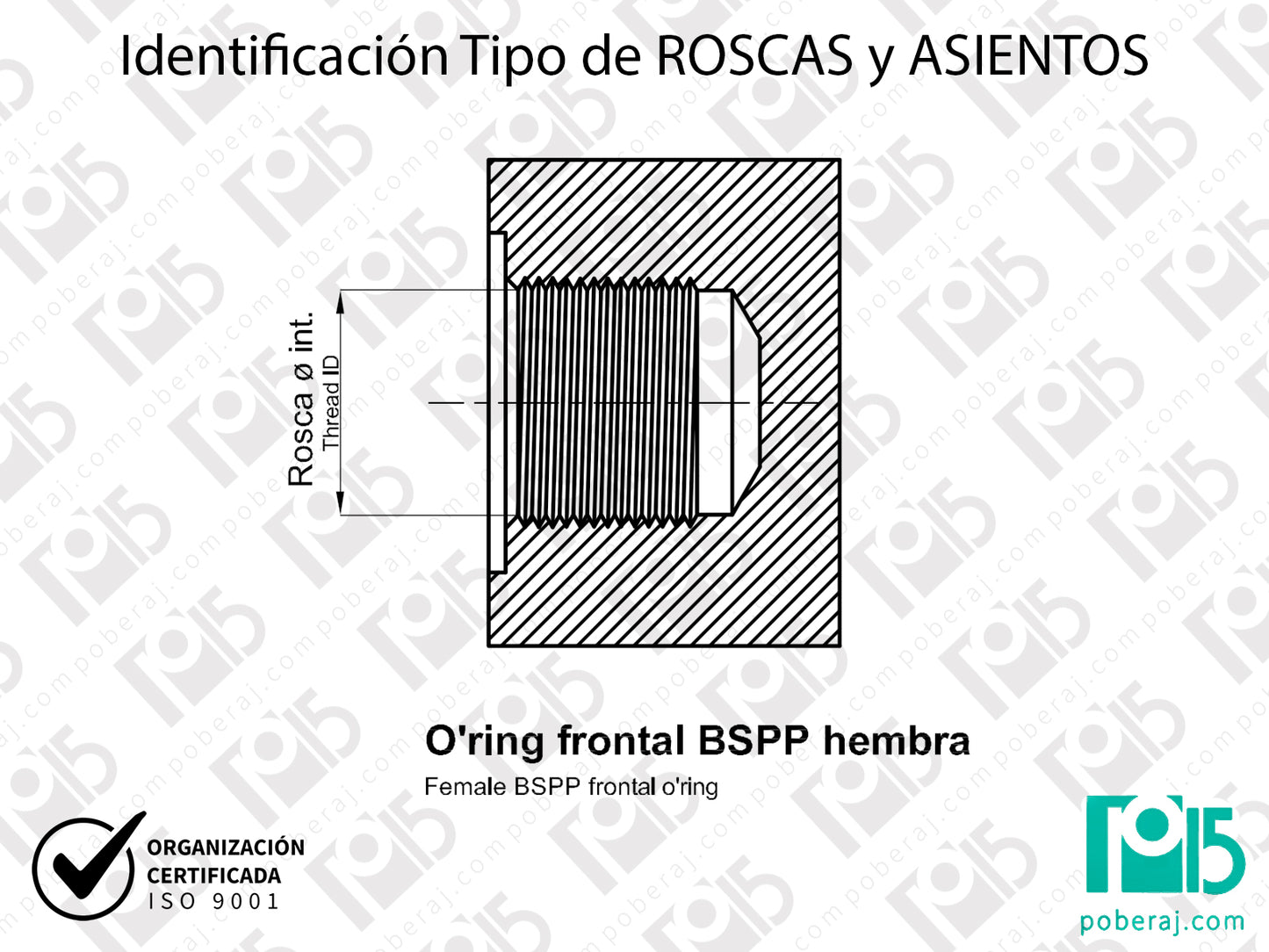 W- Identificación Tipo de ROSCAS y ASIENTOS: O'ring frontal BSPP hembra