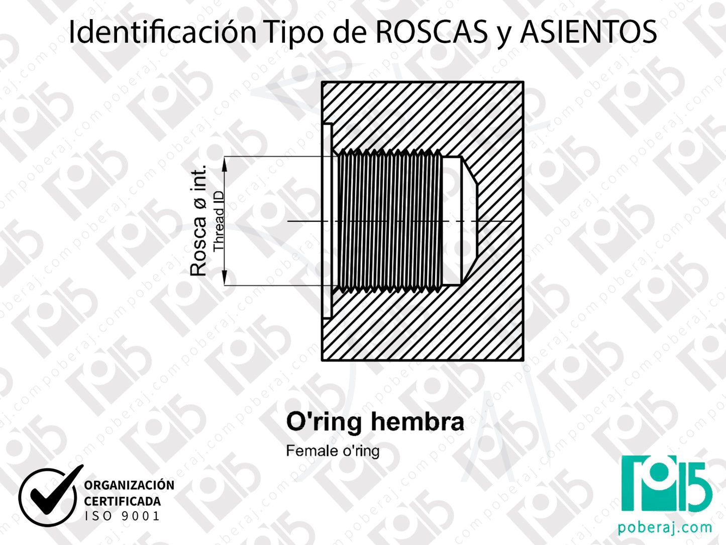 W- Identificación Tipo de ROSCAS y ASIENTOS: O'ring hembra