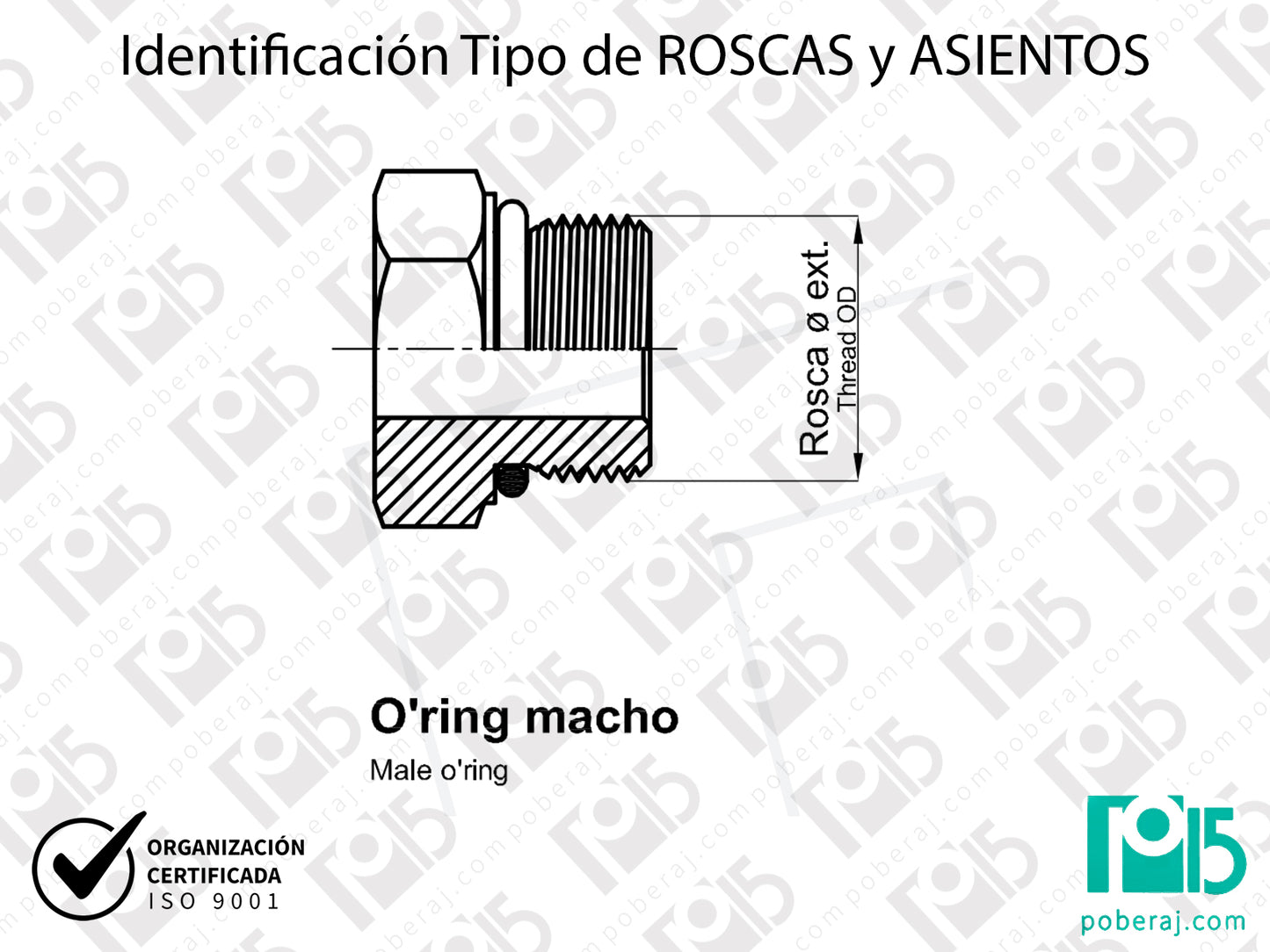 W- Identificación Tipo de ROSCAS y ASIENTOS: O'ring macho