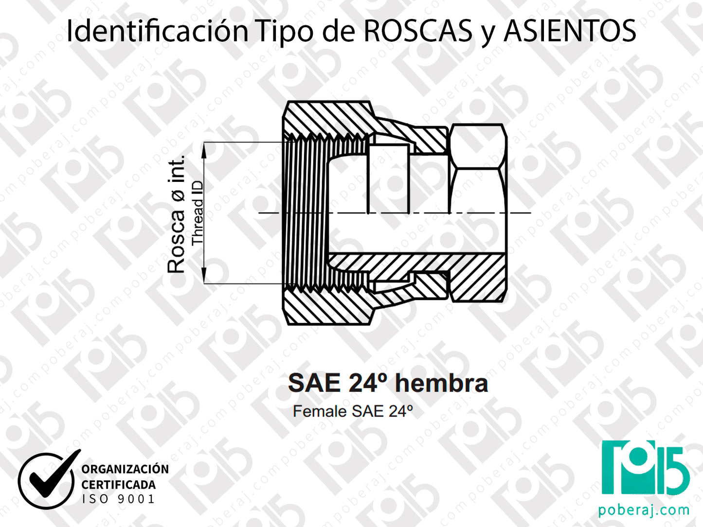 W- Identificación Tipo de ROSCAS y ASIENTOS: SAE 24° hembra