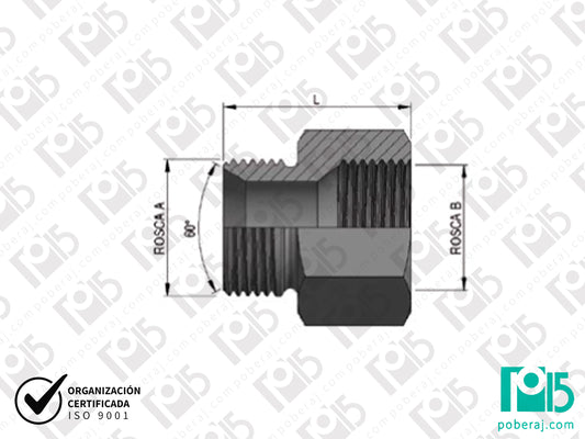 Adaptador Hembra Giratoria Asiento JIC 37° para Manguera Caño Flexible Acero Inoxidable