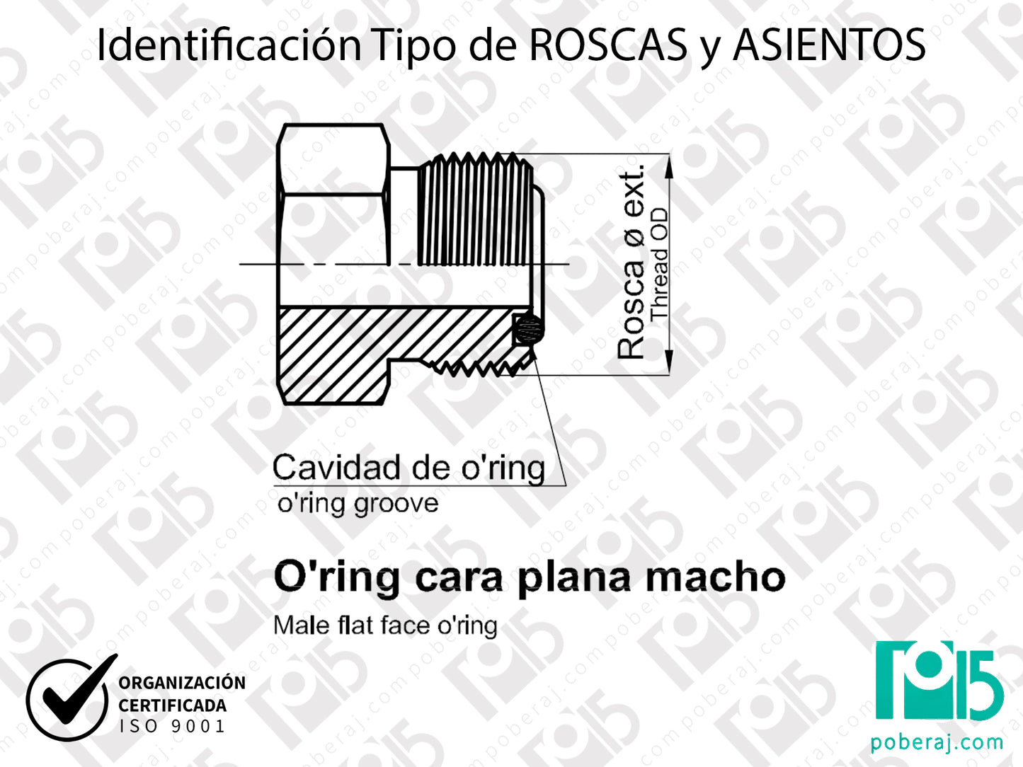 W- Identificación Tipo de ROSCAS y ASIENTOS: O'ring cara plana macho