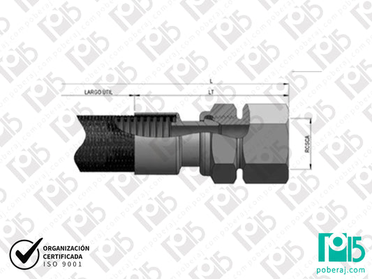 Terminal Hembra Giratoria con adaptador hembra para Manguera Caño Flexible Acero Inoxidable (Copia)