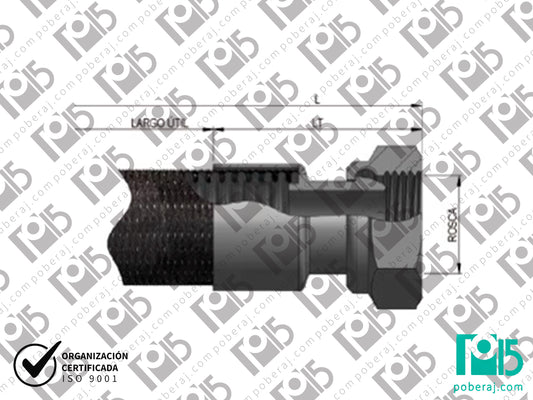 Terminal Hembra Giratoria con Asiento Esférico para Manguera Caño Flexible Acero Inoxidable
