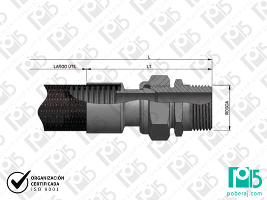 Terminal Macho Fijo para Manguera Caño Flexible Acero Inoxidable