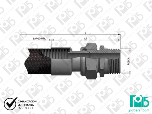 Terminal Macho Giratorio para Manguera Caño Flexible Acero Inoxidable