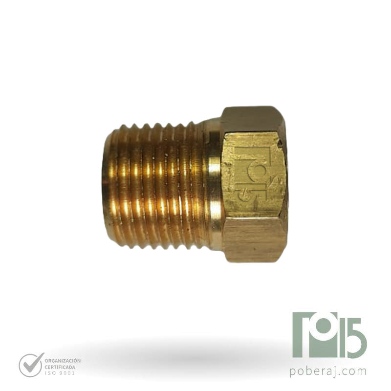 D0552 Tapón BSPT y NPT (Bronce)