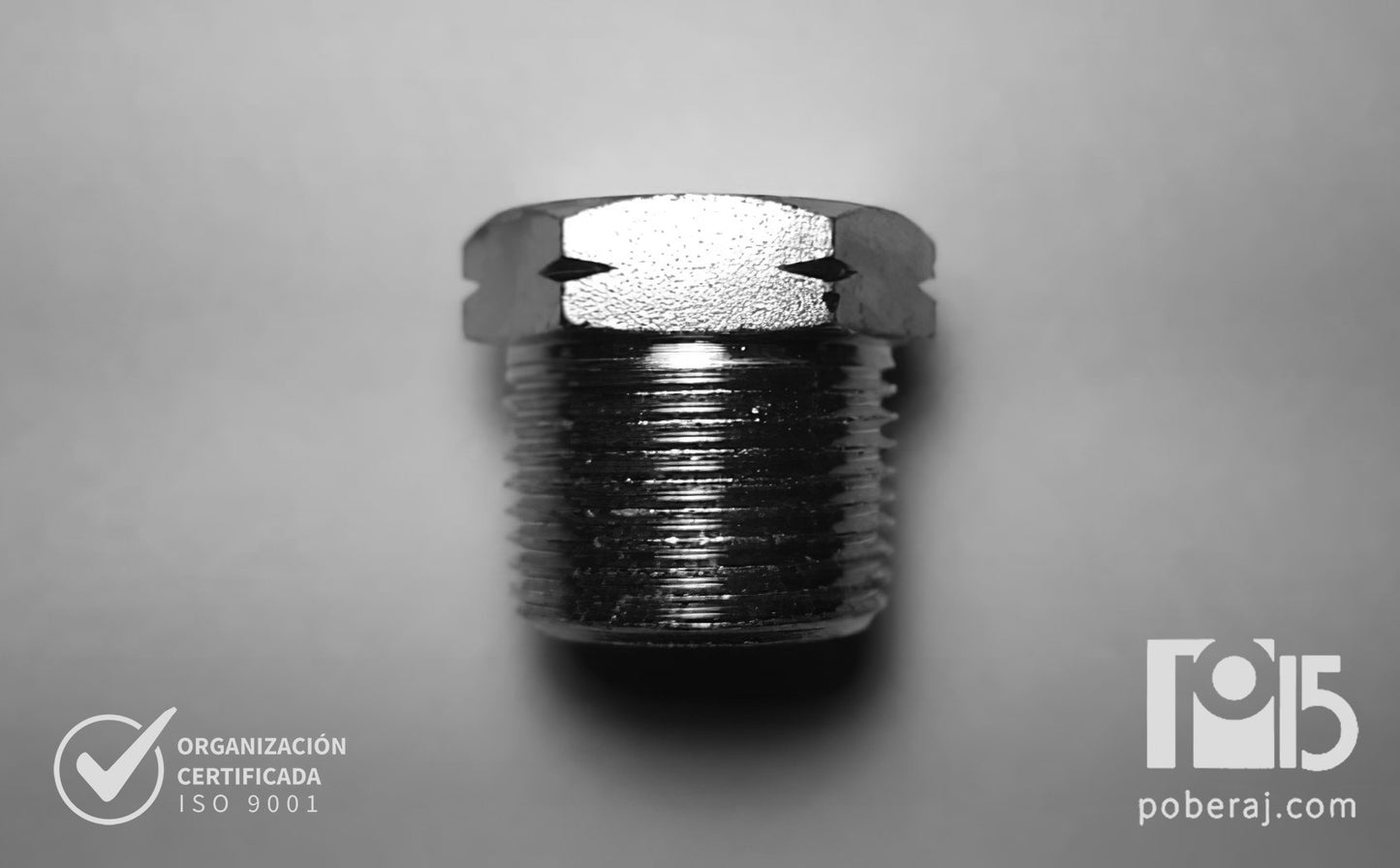 D0765 Tapon NPT