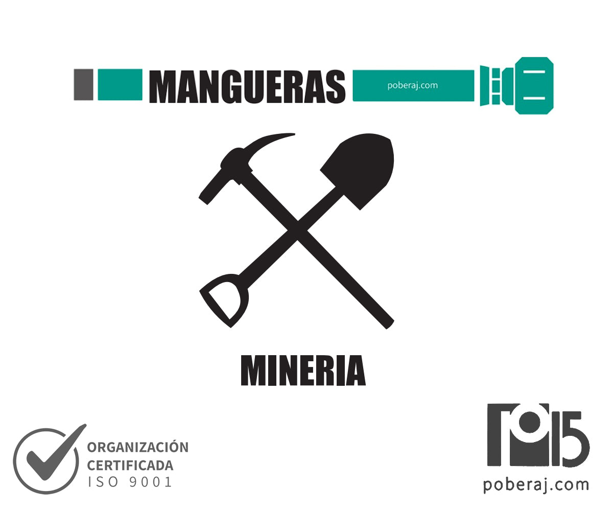 W Servicios Mangueras Industriales