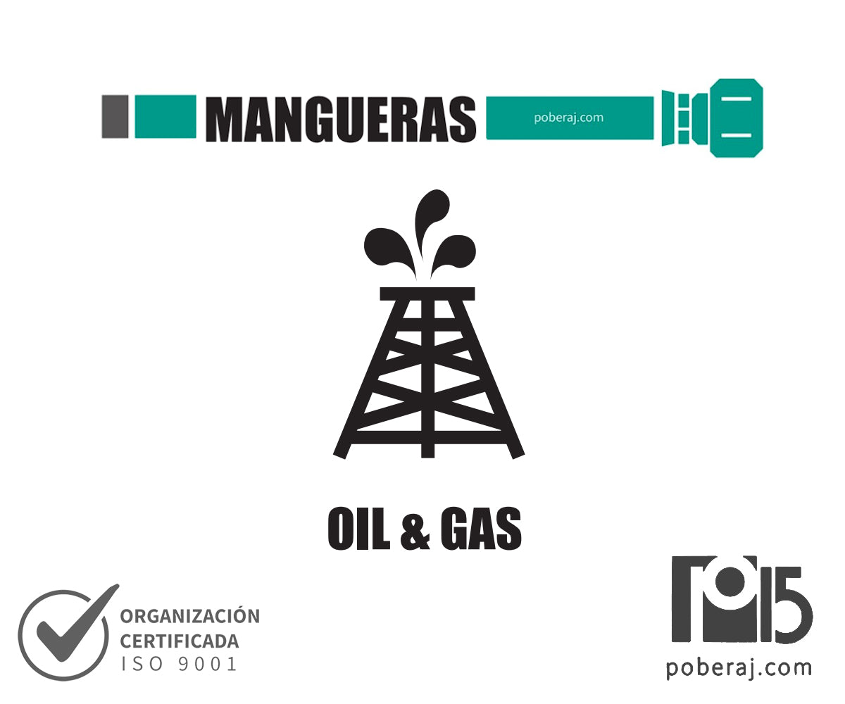 W Servicios Mangueras Industriales