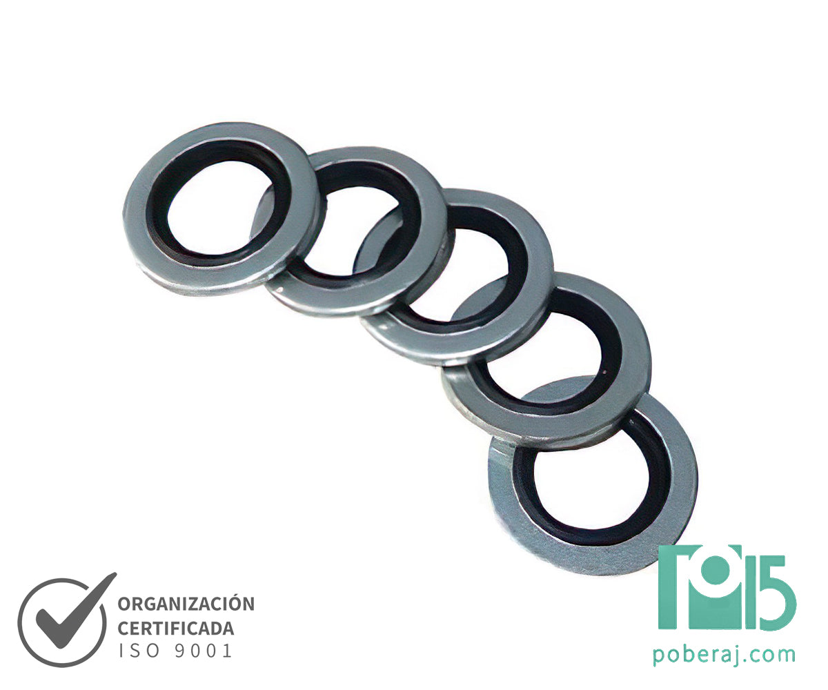 S0800 Arandela de Metal-Goma Gas