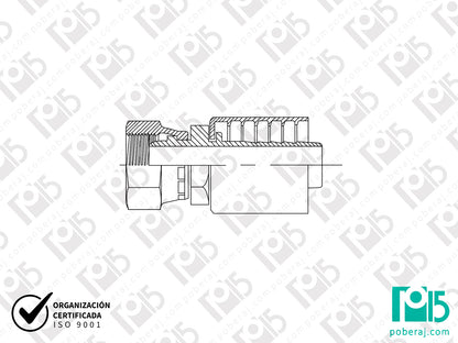 C2220 Conexión Prensada para Manguera SAE 100 R1/R2 Hembra Giratoria Rosca Métrica para Virola DIN