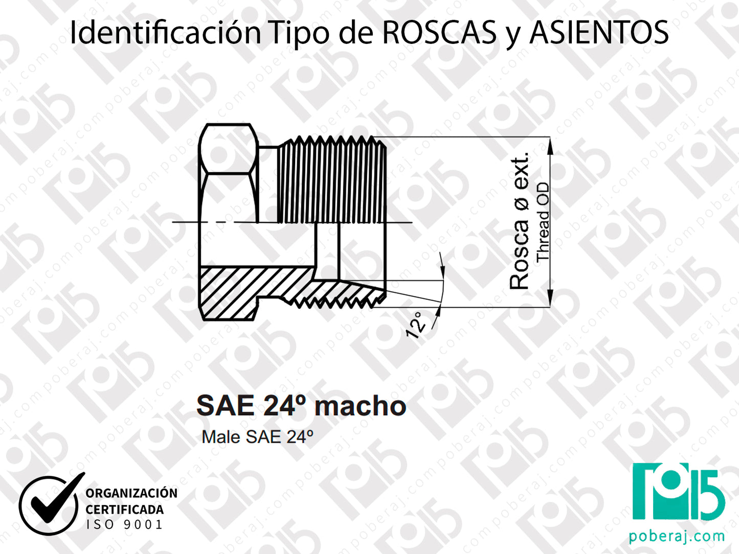 W- Identificación Tipo de ROSCAS y ASIENTOS: SAE 24° macho