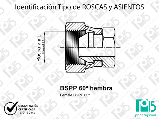 W- Identificación Tipo de ROSCAS y ASIENTOS: BSPP 60° hembra