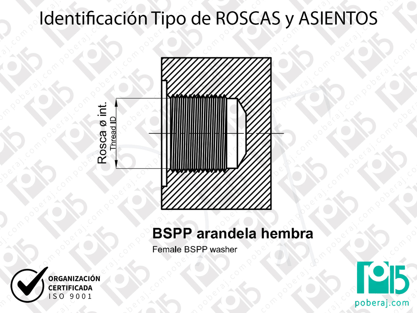 W- Identificación Tipo de ROSCAS y ASIENTOS: BSPP arandela hembra